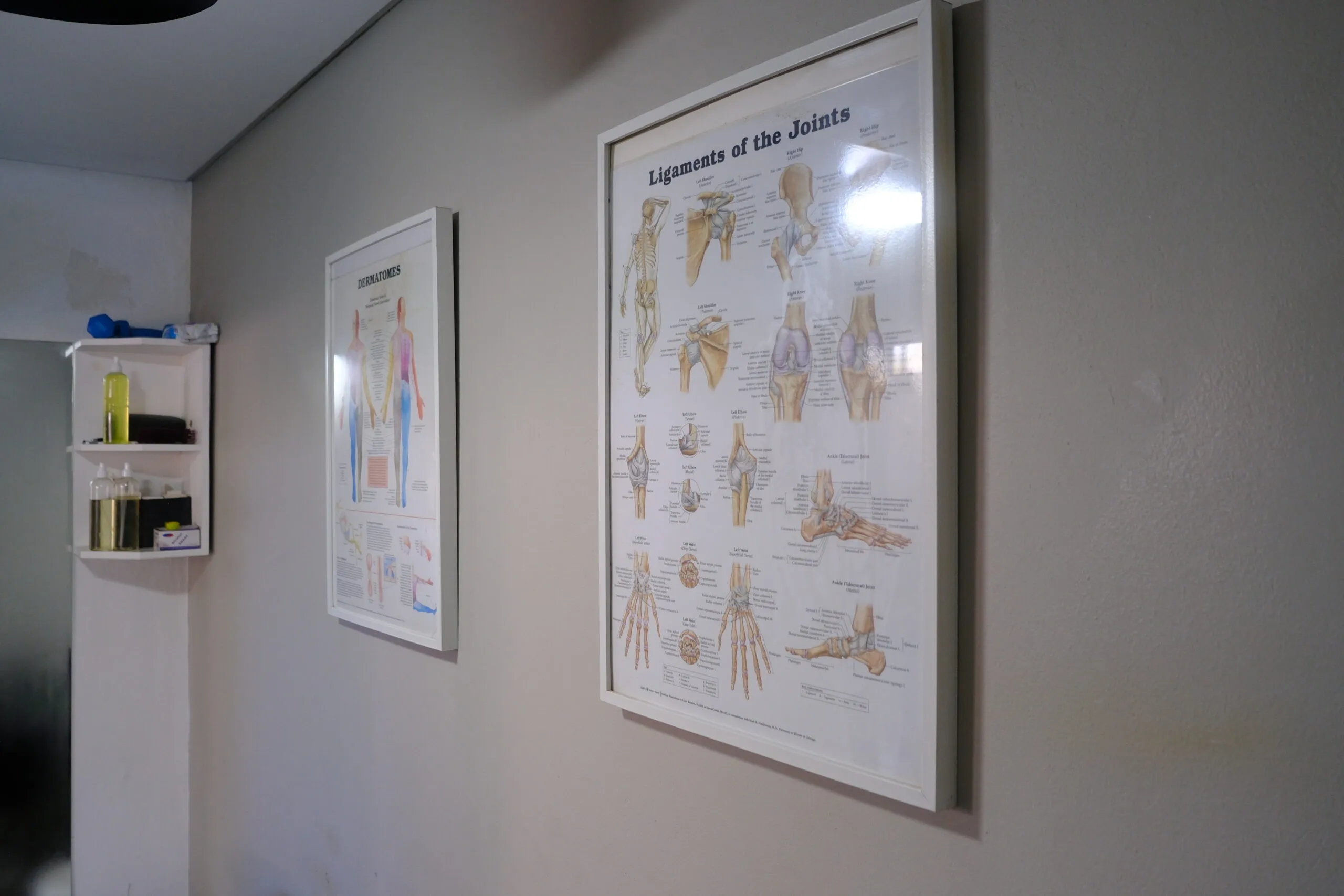 Anatomy references in the treatment room — ligaments and dermatomes posters.